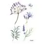 12 Stück/Menge Blume Temporäre Tattoosticker für Damen und Herren, Fake Tattoo Körperkunst, wasserdichte Handtattoos, 9,8 x 6 cm (FW12-04)