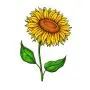 SanerLian Sunflowers Temporary Tattoo Sticker Watercolor Waterproof Women Girls Back Shoulder Arm Body Art 10.5X6cm Set of 12 SanerLian Sunflowers Temporary Tattoo Sticker Watercolor Waterproof Women Girls Back Shoulder Arm Body Art 10.5X6cm Set of 12