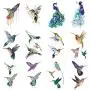 Autocollants temporaires de colibris WYUEN 12 pièces pour femmes et hommes, art corporel, adultes, étanches, faux tatouages, 9,8 x 6 cm (FW12-13)