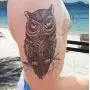 Temporäre Tattoos für Männer, Jungen & Teenager – Fake Tattoo Sticker Aufkleber (8 Große Blätter) Tattoos für Jungen, Biker Tattoos, Rocker Transfers für Arme, Schultern, Brust & Rücken – Körperkunst Tattoo Sticker, wasserdicht schwarz