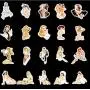 Honch Retro Pin-up Girls Sticker Pack 50 Stück Reiserückenschild-Sticker Vinyl Sexy Dame Aufkleber für Laptop, Handyhülle, Helm, Tablet, Autos, Koffer, Wasserflasche