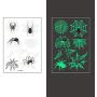 Halloween Temporary Tattoo Stickers Removable Fake Spider Glow in The Dark Stickers Party Decorations for Adult and Kids Gift (10 sheets)