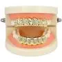 TOPGRILLZ 18K Plated Gold Grills Teeth Grillz for Men Women Iced Out Hip Hop Poker Diamond Top & Bottom Face Grills for Teeth Rapper Costume Cosplay TOPGRILLZ 18K Plated Gold Grills Teeth Grillz for Men Women Iced Out Hip Hop Poker Diamond Top & Bottom Face Grills for Teeth Rapper Costume Cosplay