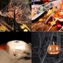 LessMo 326g Halloween Spider Web Decor, 60 Extra Fake Spiders White Cotton Cobweb, Large Size Cover 1400 Sqft, Super Stretchy, Reusable, for Haunted House Halloween Party Indoor and Outdoor