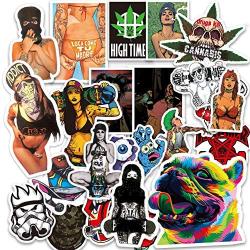 Beyong Skateboard Stickers for Adults Pack, Punk Hippie Sticker for Laptop Luggage Water Bottles Computer (Punk Sticker 100 Pcs)