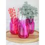 Cornucopia Pink Glass Mason Jars (6-Pack, Pint Size); 16oz Fuchsia Colored Glass Canning and Apothecary Jars