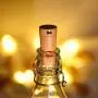 SODELIC Korken-Lichter für Weinflaschen, 10er-Set, 2,0 m (6,5 ft) mit 20 LEDs, wasserdicht, batteriebetrieben, silberne Draht-Lichterketten für Spirituosenflaschen, Basteln, Party, Halloween, Weihnachten, Bar Dekoration, warmweiß…