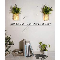 Mason Jar Lights, (Remote Control) Sconces Rustic Wall Decor - Hanging lamp LED Fairy Lights with Green Plant for Interior, Home, Room, Office, Kitchen, Bathroom Decoration Living (2PCS, Warm Light)