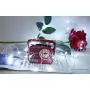 Weihnachtslichtketten mit Korken, LoveNite 12er Pack, 12 LED, Silberdraht, Farbwechsel, Mini-Fairy Lights (keine Flaschen) für DIY, Party, Weihnachten, Hochzeit (Kalter Weiß)