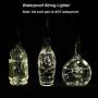 LOFTPLUS Bottle Lights Golden Metal Warm White Lights 1AA Battery-Operated with Daily Timer 6hours Blinking & All The Time On Modes