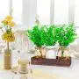Hooqict Beleuchtete Blumen-Rustikale Glasvasen Mittelstücke Dekoratives Holztablett mit 3 Bemaltem Glasvasen und Fernbedienung LED-Fairy Lights Mason Jar Mittelstück mit Eukalyptus für Wohnzimmer, Küche, Schlafzimmer, Kräuterpflanzen, Couchtisch Dekoratio