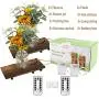 UnsereWarm Set von 2 Sonnenblumen-Mason-Jar-Wandleuchten, rustikale Wandleuchten, handgefertigte hängende Mason-Jars mit LED-Fairy Lights für Wohnzimmer, Küche, Landhausstil, Dekorative Beleuchtung