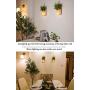 Mason Jar Lights, (Remote Control) Sconces Rustic Wall Decor - Hanging lamp LED Fairy Lights with Green Plant for Interior, Home, Room, Office, Kitchen, Bathroom Decoration Living (2PCS, Warm Light)