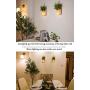 Mason Jar Lights, (Remote Control) Sconces Rustic Wall Decor - Hanging lamp LED Fairy Lights with Green Plant for Interior, Home, Room, Office, Kitchen, Bathroom Decoration Living (2PCS, Warm Light)