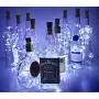 Reisin Wein Flaschen Leuchten 10er Pack 20 LED Batteriebetriebene Korkform Silberdraht Farbige Glühbirnen Mini Lichterkette für DIY Festival Hochzeit Party Innen- & Draußen Dekoration (Kaltweiß)
