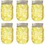 Liseuses Solaires en Pot Mason LiyuanQ, Lot de 6, Guirlandes Lumineuses LED Lanternes Solaires, 6 Suspensions et Pots Inclus, Décoration Extérieure Idéale pour Jardin, Patio, Cour, Lawn (Blanc Chaud) Liseuses Solaires en Pot Mason LiyuanQ, Lot de 6, Guirlandes Lumineuses LED Lanternes Solaires, 6 Suspensions et Pots Inclus, Décoration Extérieure Idéale pour Jardin, Patio, Cour, Lawn (Blanc Chaud)