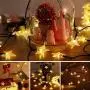 OxyLED 6 Pack Mason Jar Solar Lights + Solar String Lights Outdoor OxyLED 6 Pack Mason Jar Solar Lights + Solar String Lights Outdoor