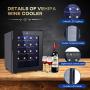 20 Bottle Wine Cooler Refrigerator-Freestanding Wine Cellar for Red, White, Champagne or Sparkling Wine, Quiet Operation Wine Fridge Digital Temperature Control Wine Chiller Glass Door Black