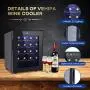 Réfrigérateur à Vin 20 Bouteilles - Cave à Vin Autonome pour Vin Rouge, Vin Blanc, Champagne ou Vin Effervescent, Fonctionnement Silencieux, Contrôle Numérique de la Température, Mini Frigo Vin, Porte Vitre Noir