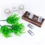 Hooqict Beleuchtete Blumen-Rustikale Glasvasen Mittelstücke Dekoratives Holztablett mit 3 Bemaltem Glasvasen und Fernbedienung LED-Fairy Lights Mason Jar Mittelstück mit Eukalyptus für Wohnzimmer, Küche, Schlafzimmer, Kräuterpflanzen, Couchtisch Dekoratio