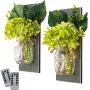 Glasbehälter Wandleuchten mit Seil-LEDs (Set von 2) – Landhausstil Wanddekoration – Rustikaler Stil – Zwei Fernbedienungen – Grüne Pfingstblumen