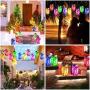 Guirlande Lumineuse Mason Jar LED 10 Pièces, 30 LED, avec 10 Supports, pour Mariage, Jardin, Patio, Fête, Décoration Cadeau (Sans Bocal) (5 Couleurs) Guirlande Lumineuse Mason Jar LED 10 Pièces, 30 LED, avec 10 Supports, pour Mariage, Jardin, Patio, Fête, Décoration Cadeau (Sans Bocal) (5 Couleurs)