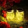 OxyLED 6 Pack Mason Jar Solar Lights + Solar String Lights Outdoor OxyLED 6 Pack Mason Jar Solar Lights + Solar String Lights Outdoor