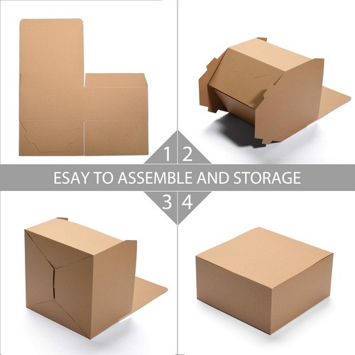 Standard Carton Box Standard Carton Box